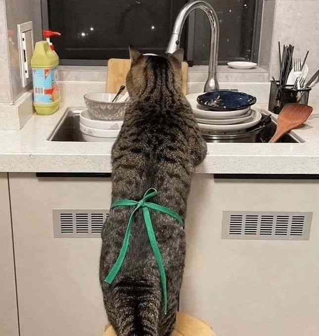 旦那の方が家事してる方いますか