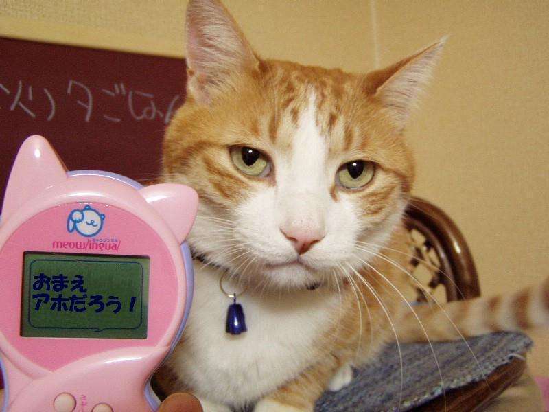 誰かに発明して欲しい物