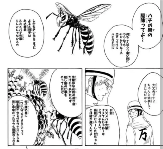 ハチに刺されたらどうしますか？