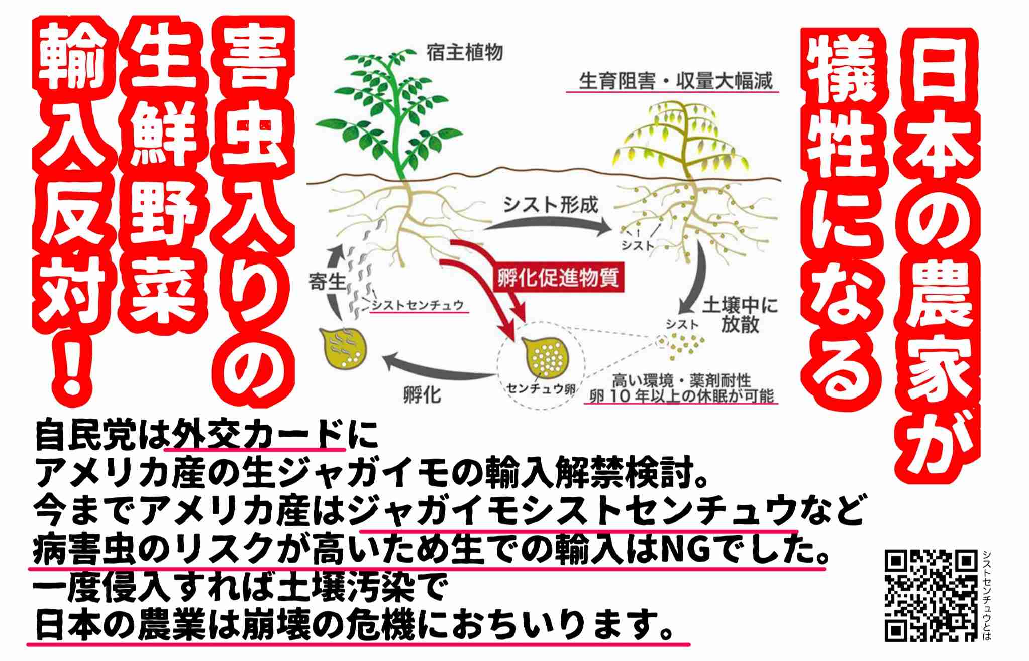 「物価高対策をしようという時に!」“備蓄米買い戻し”で首相を激怒させた「鈴木農水相」進退への神経戦