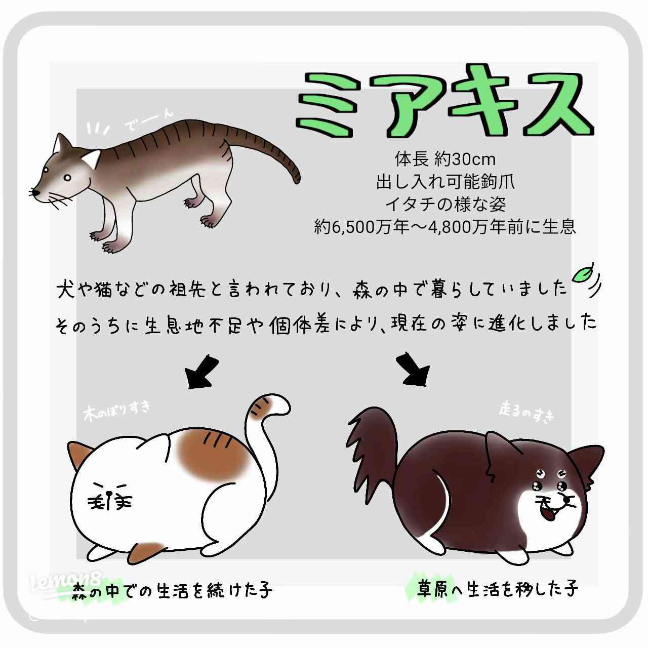 ANA機と国の飛行検査機、羽田上空で「ニアミス」 防止装置が作動