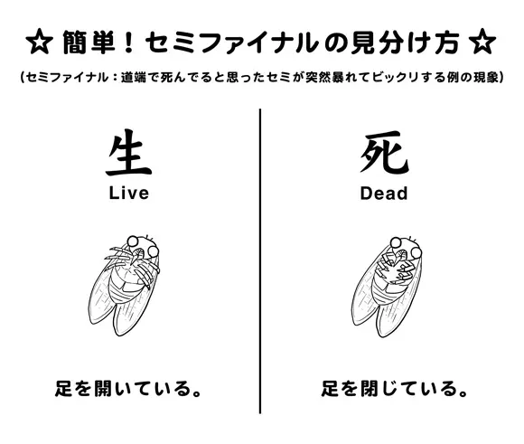酷暑でゴキブリと蚊が少なくなった気がする?皆さんは?