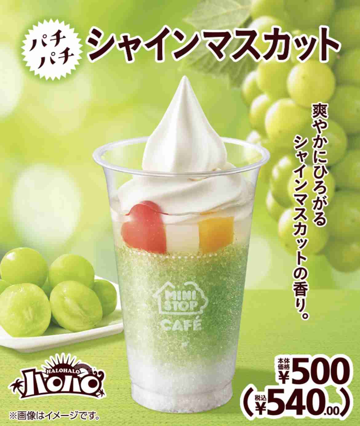 おすすめの氷菓・シャーベット・かき氷アイス🧊