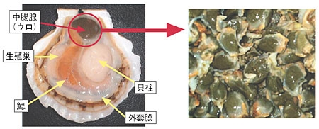 この食べ物のここだけ嫌い！