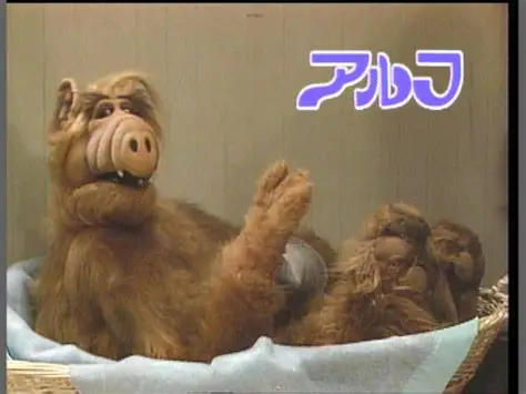 全てセルフにしてほしいお店