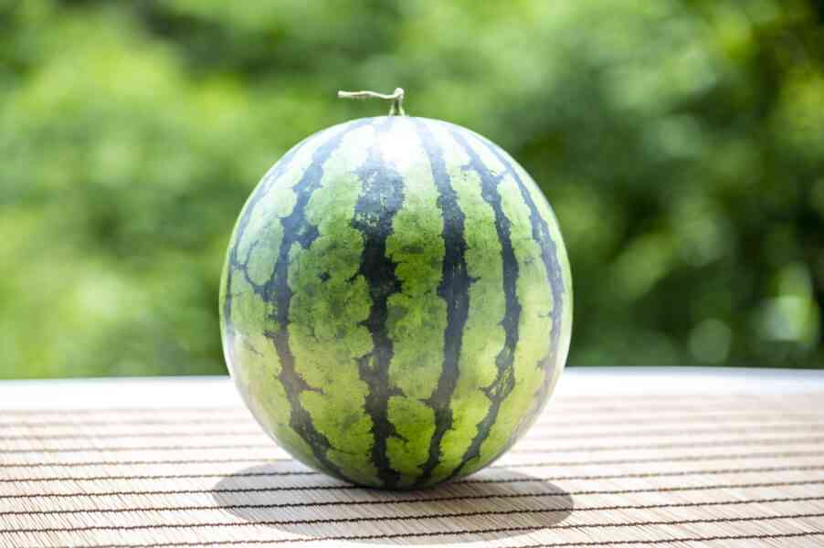 子供の頃の夏休み終わりどうしてました？