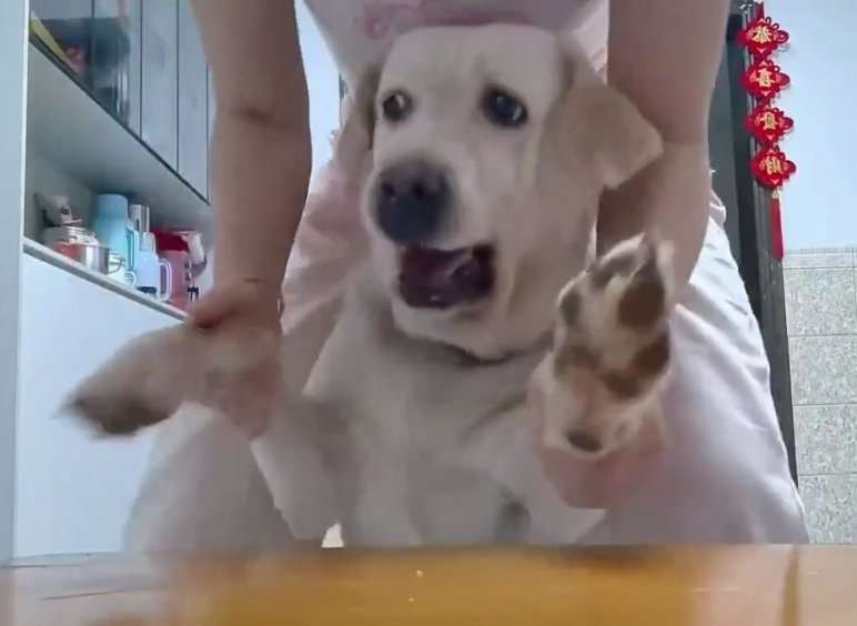 良いもの見せてもらったってなる画像