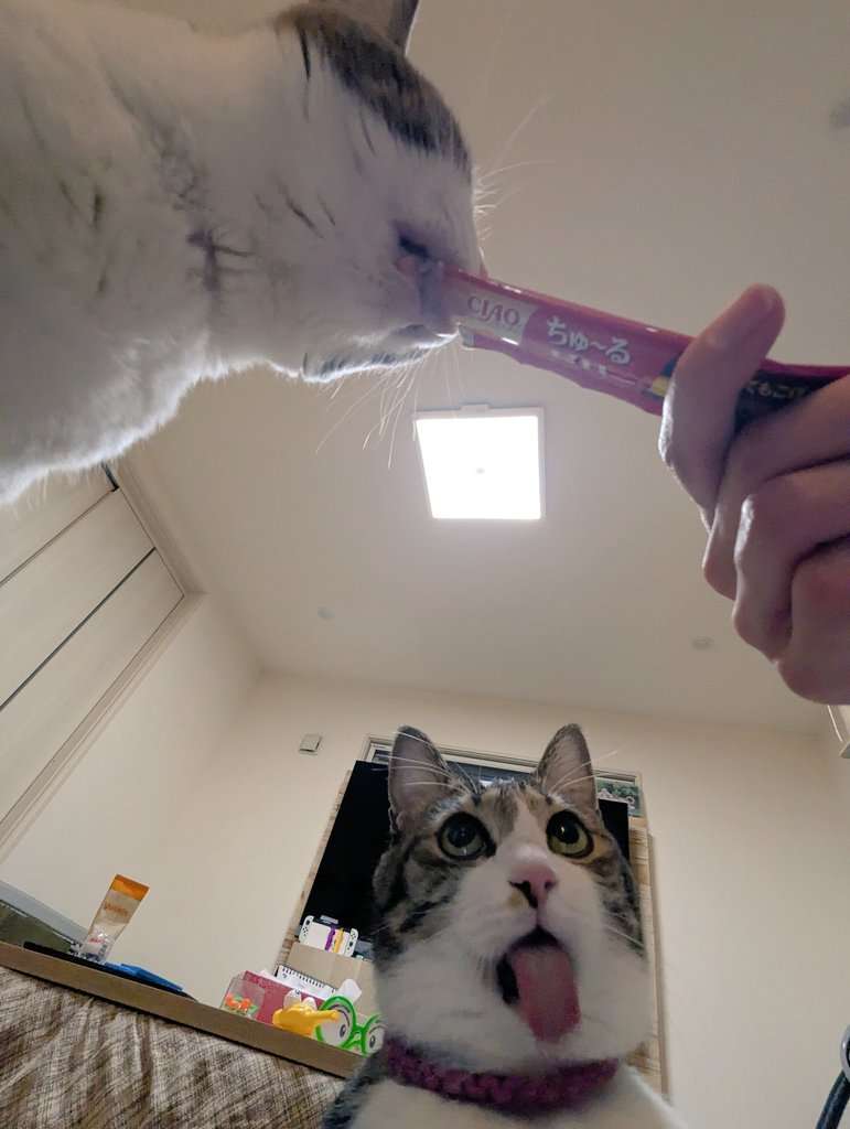 良いもの見せてもらったってなる画像