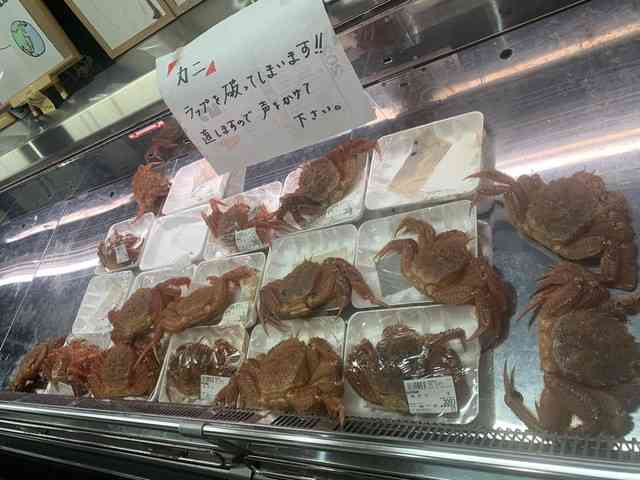 良いもの見せてもらったってなる画像