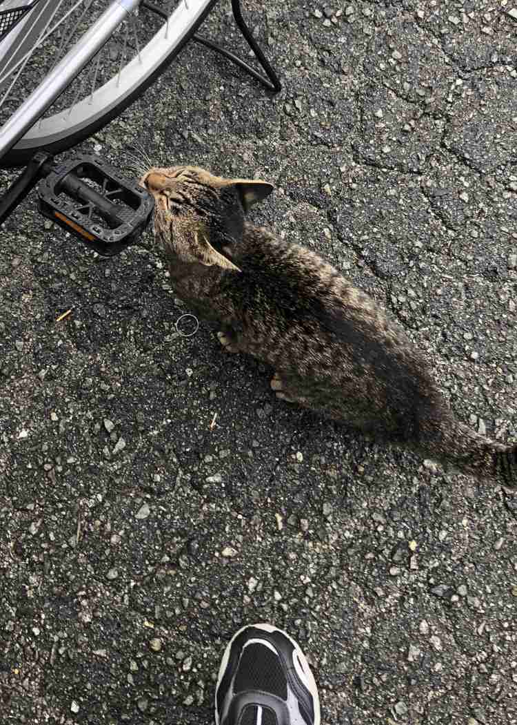 子供の頃から嫌な夢ばかり見る