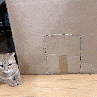 家メンテナンスしてますか？