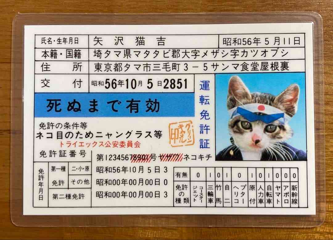 無免許運転などの疑いで男逮捕 「一度免許取れば一生運転できると思っていた」容疑否認 加古川