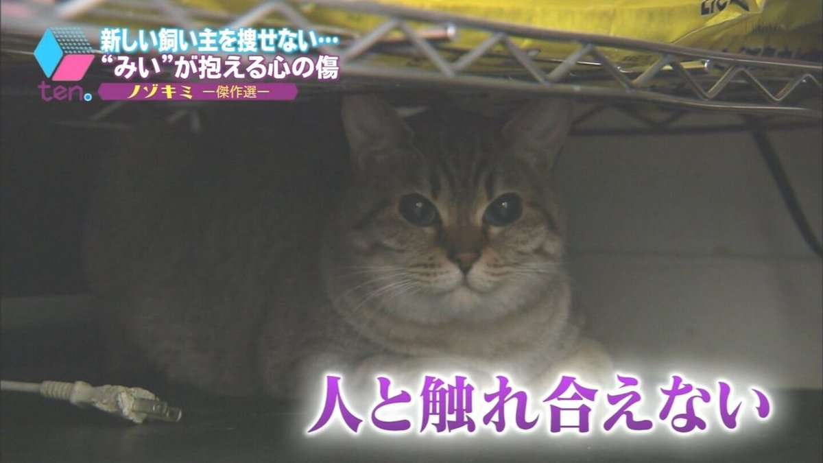 人を好きになれない