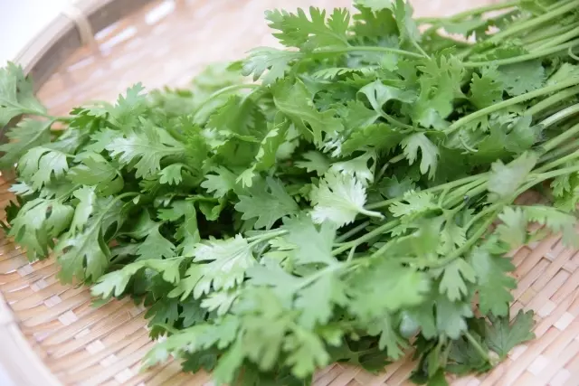 苦味のある食べ物が好きー🥦