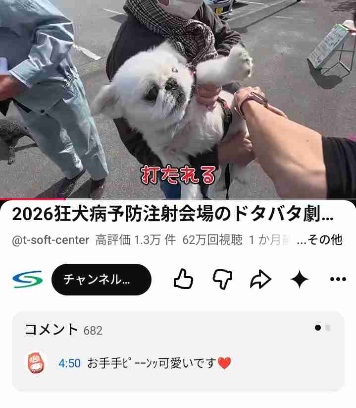 この世のなによりも犬が好きな人と話したい