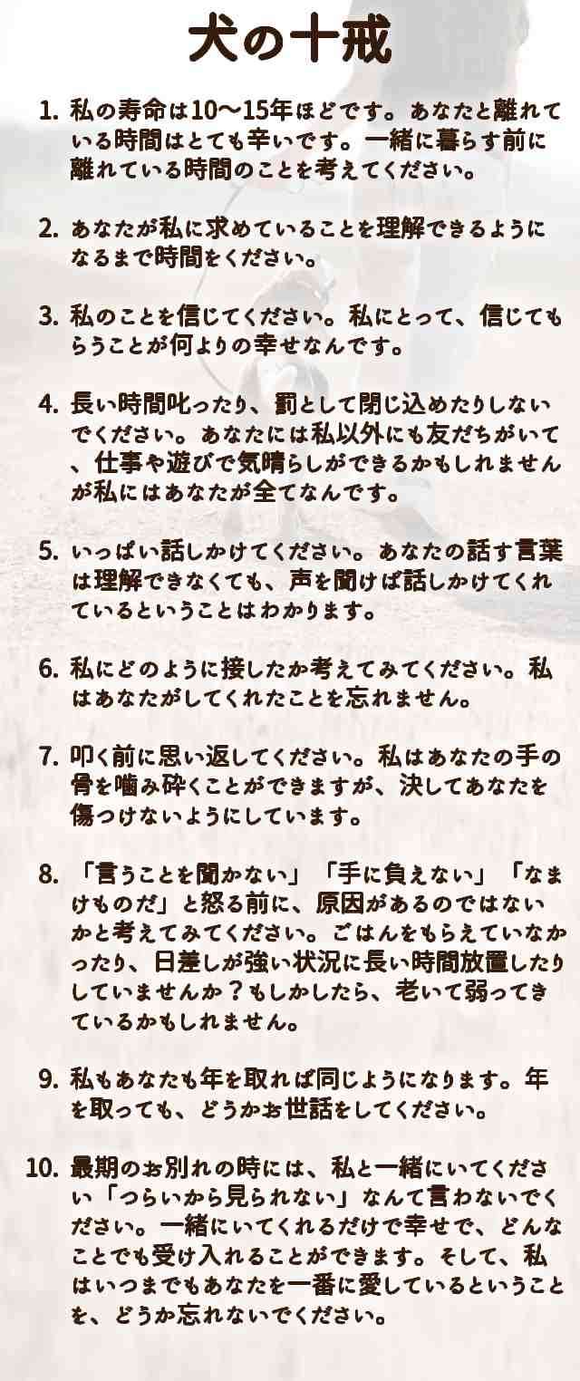 この世のなによりも犬が好きな人と話したい