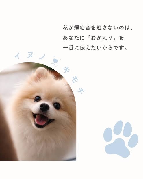 この世のなによりも犬が好きな人と話したい