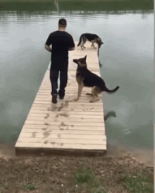 この世のなによりも犬が好きな人と話したい
