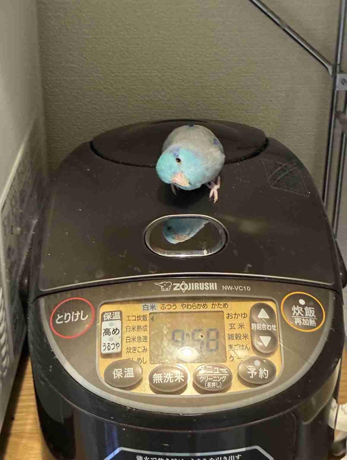ご飯食べるのがつらい
