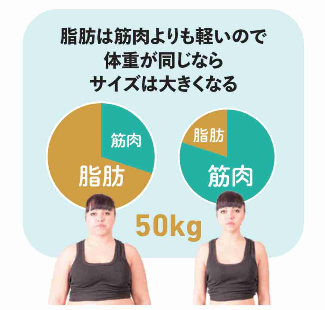 ポッチャリあつまれー