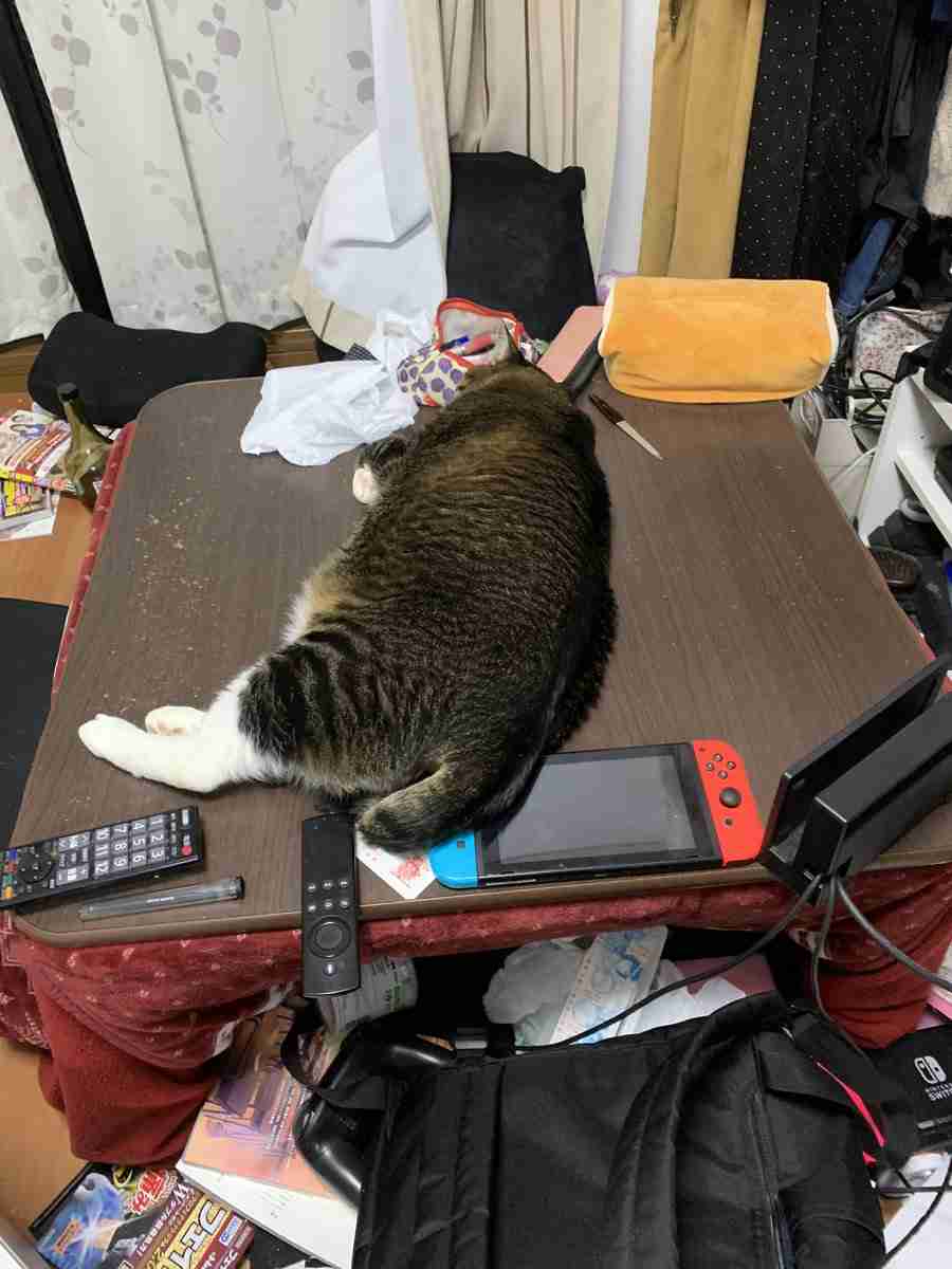 片付け下手が上手な人に聞きたい