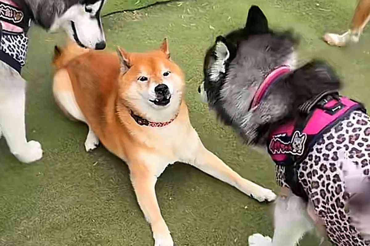 【自称?】自分が陰キャか陽キャってどうやって判断してる?【他称?】