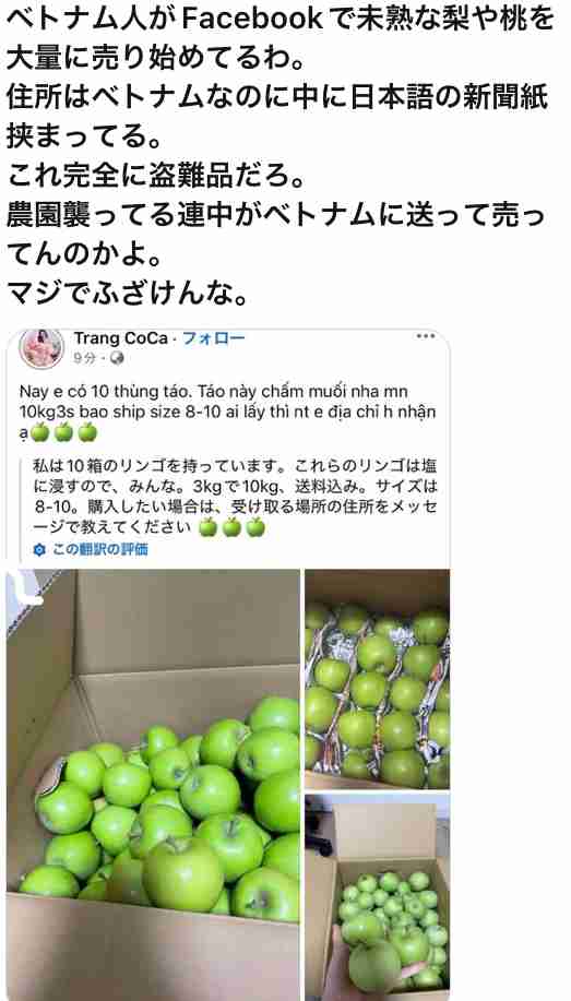 シャインマスカット400房が盗難被害　栃木・佐野の果樹園