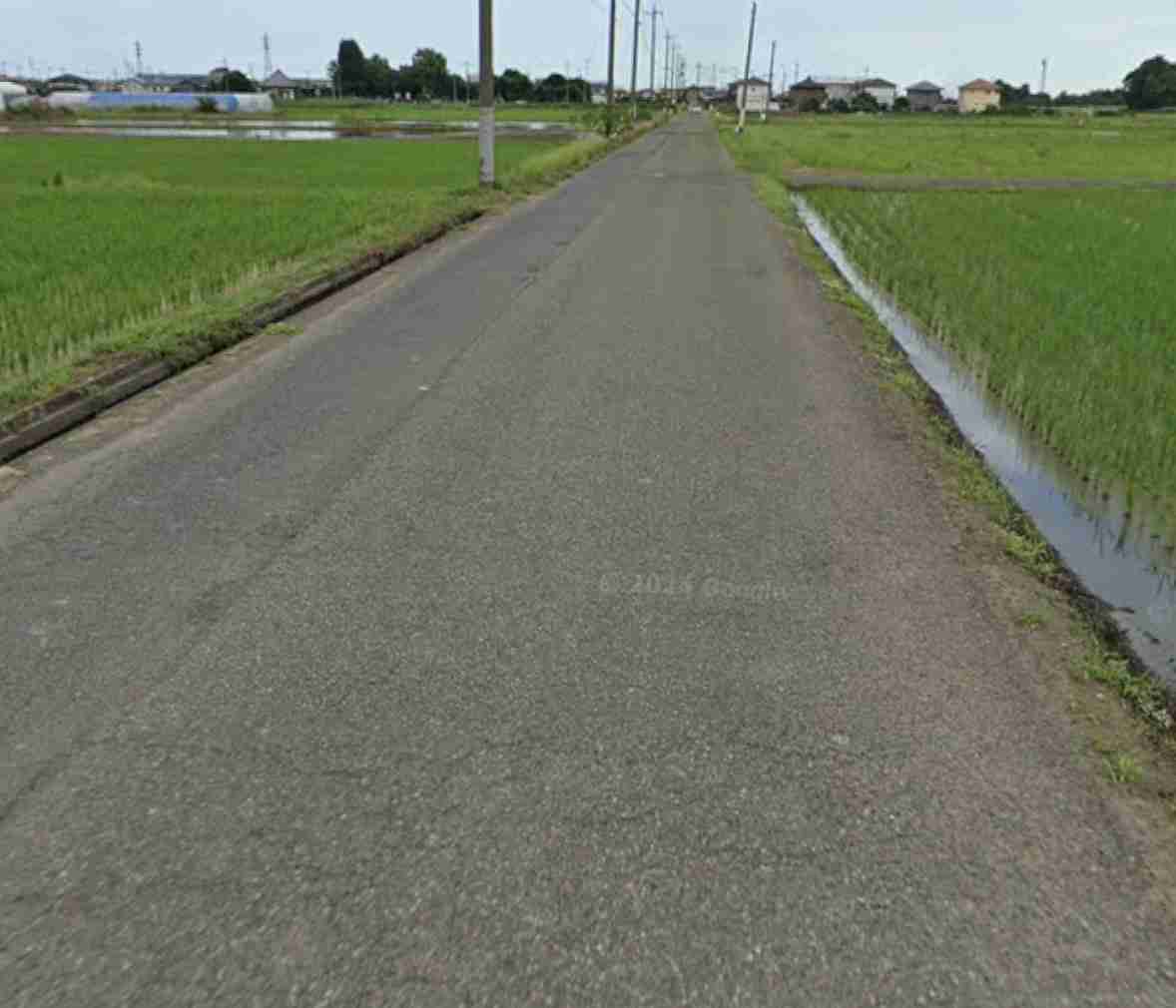 あすから時速30キロに…生活道路での上限、大幅に引き下げ きっかけは園児4人が死亡した川口の事故