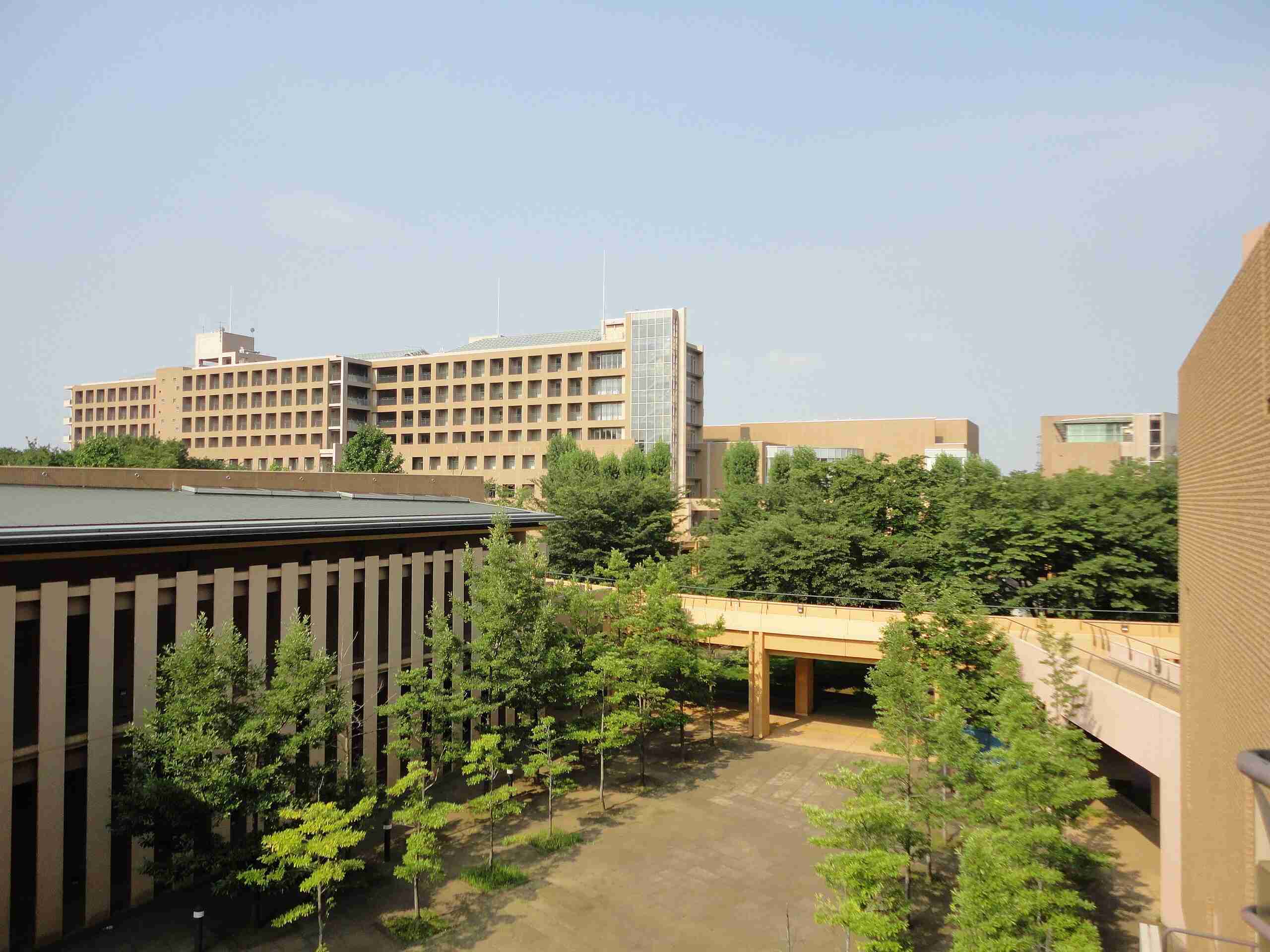 もう地方の秀才は東大を受けない…地方出身の東大合格者｢48%￫38%｣に激減した深刻すぎる事情