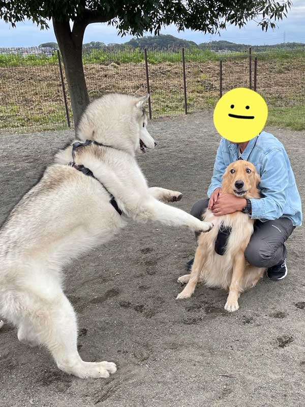 朝から疲れている人