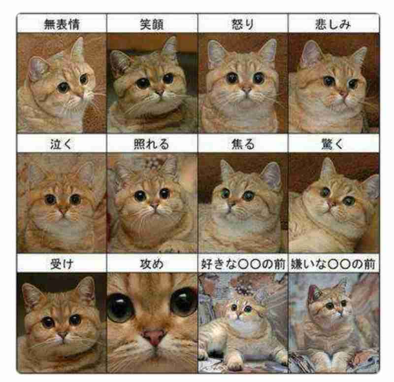 表現の自由はどこまで許されるのか