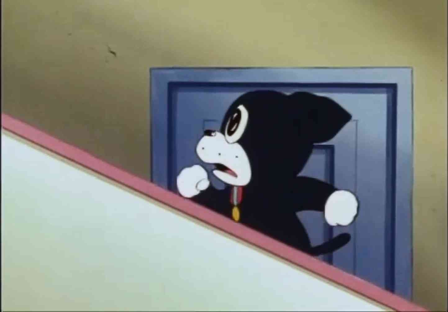 今日なにする？