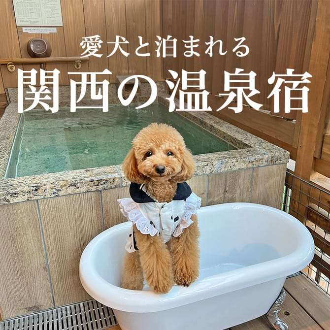 ペット可のおすすめの宿