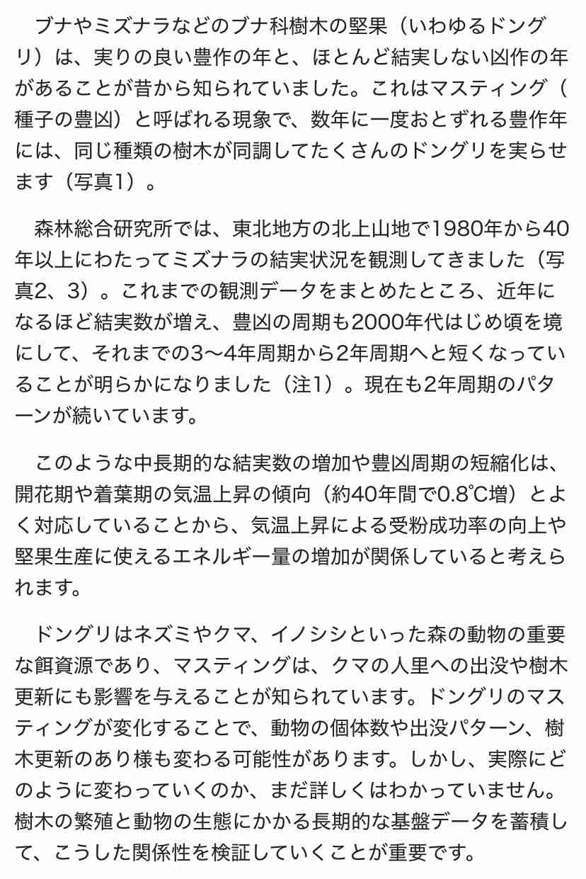 「クマが悪者扱いされているのが悲しい」『北の国から』倉本聰氏(91)が富良野で語った現代社会への“違和感”「バブル期以降、ドラマはつまらなくなった」