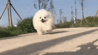 ガルちゃんでにっこりした瞬間