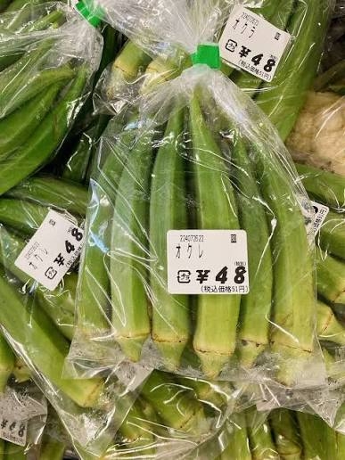 オクラのレシピ教えて下さい
