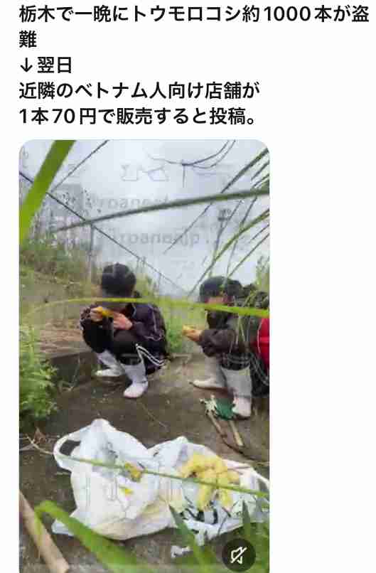 警視庁で警察官「3000人」足りず　採用不調で治安にも影響か