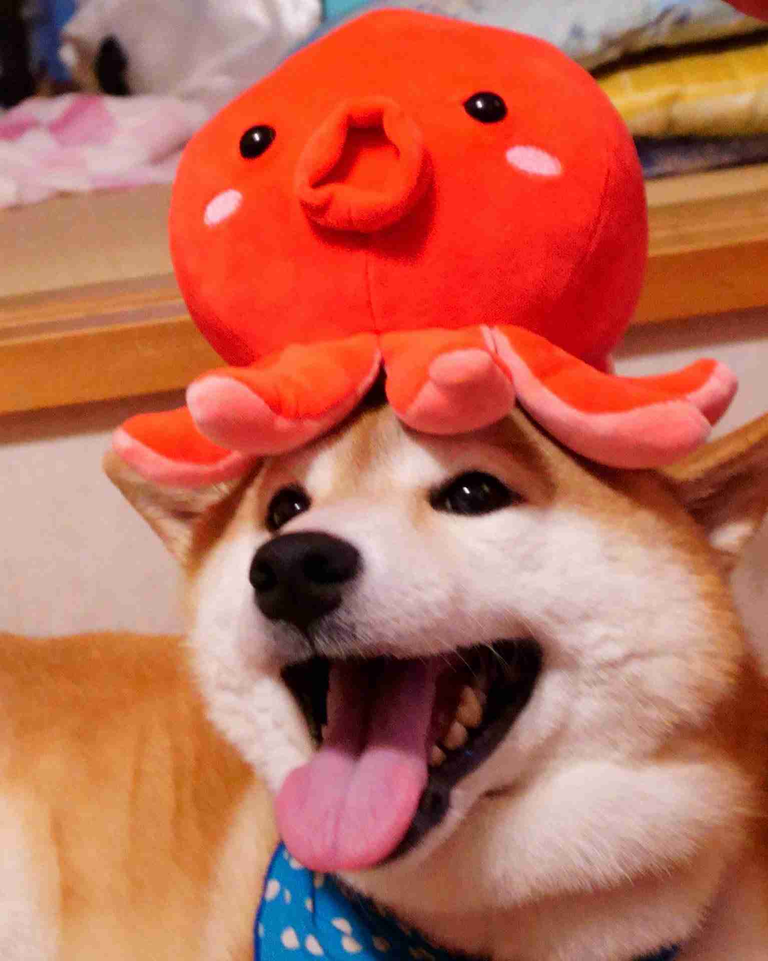 心を綺麗にしたい