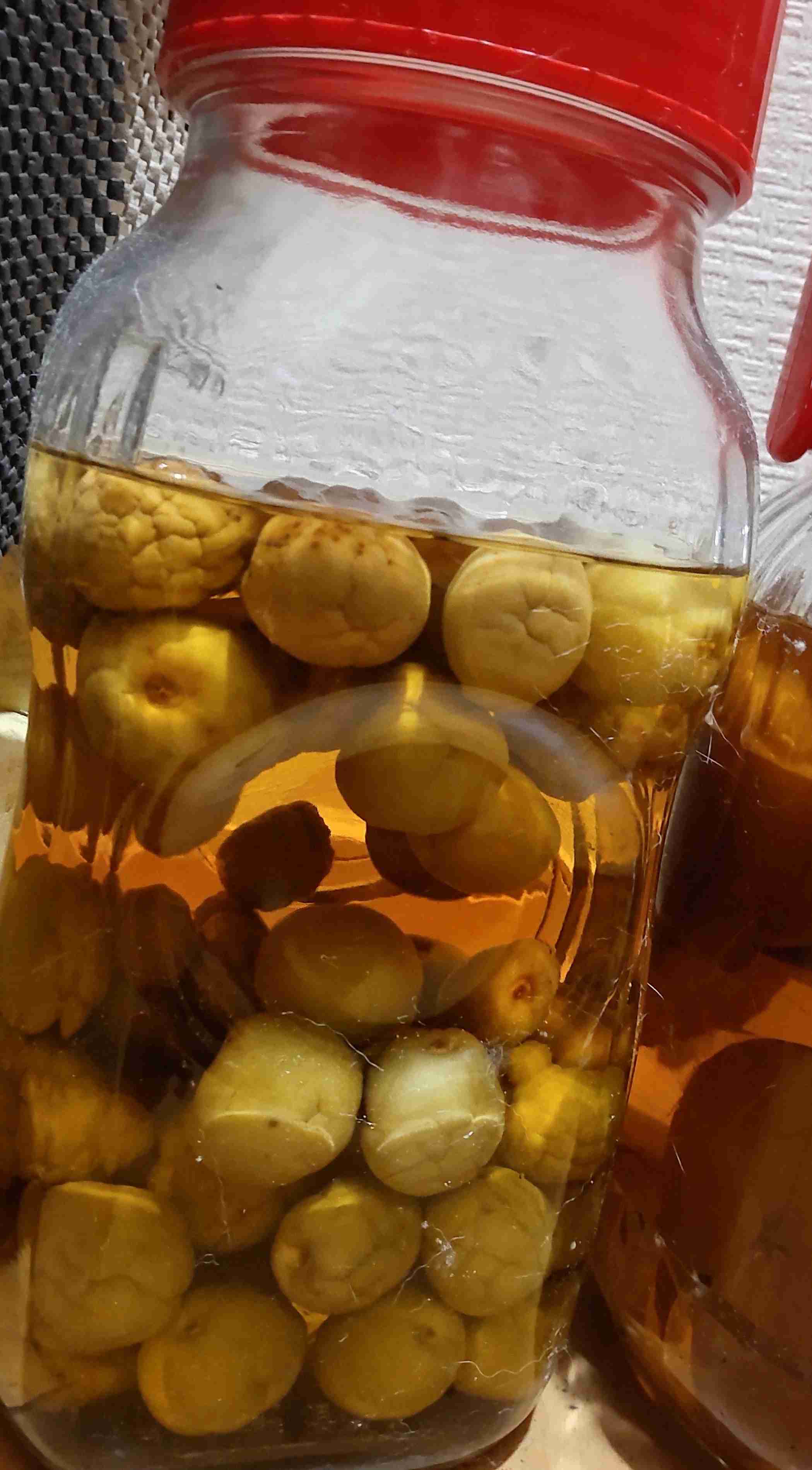 果実酒を漬けてみたい