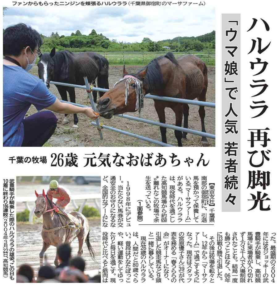 競馬について語ろう🏇【パート７】