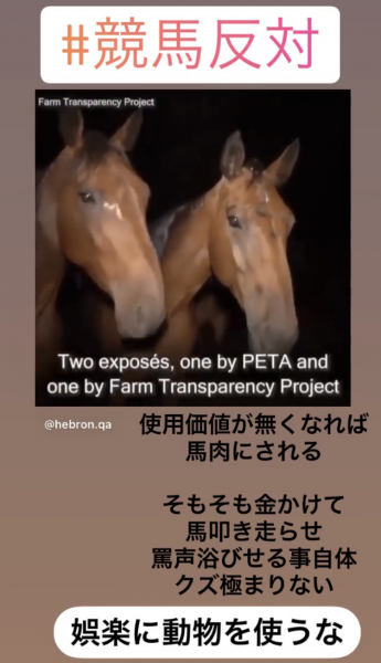 競馬について語ろう🏇【パート７】