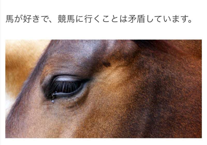 競馬について語ろう🏇【パート７】