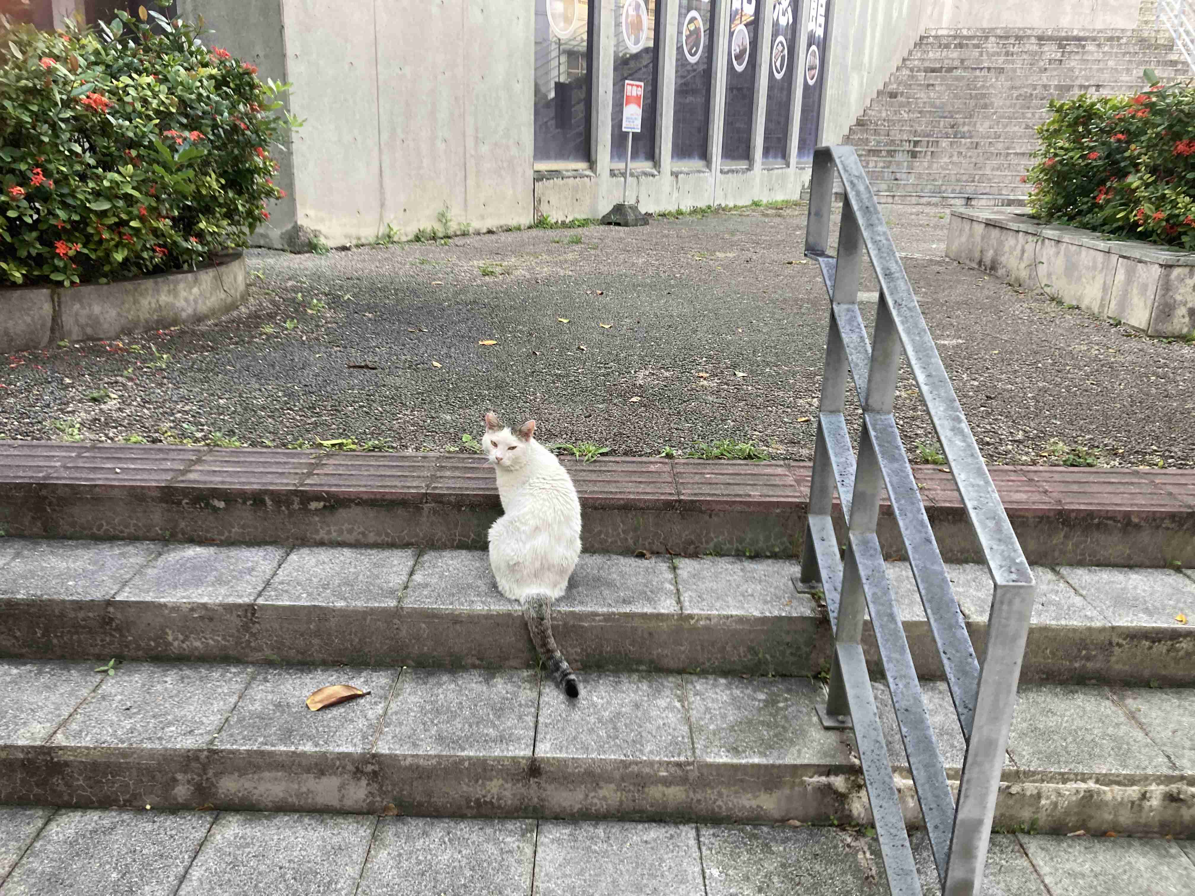 一泊二日で行くならどこ?