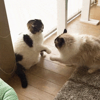 【解消法】イライラしたときどうしてる？