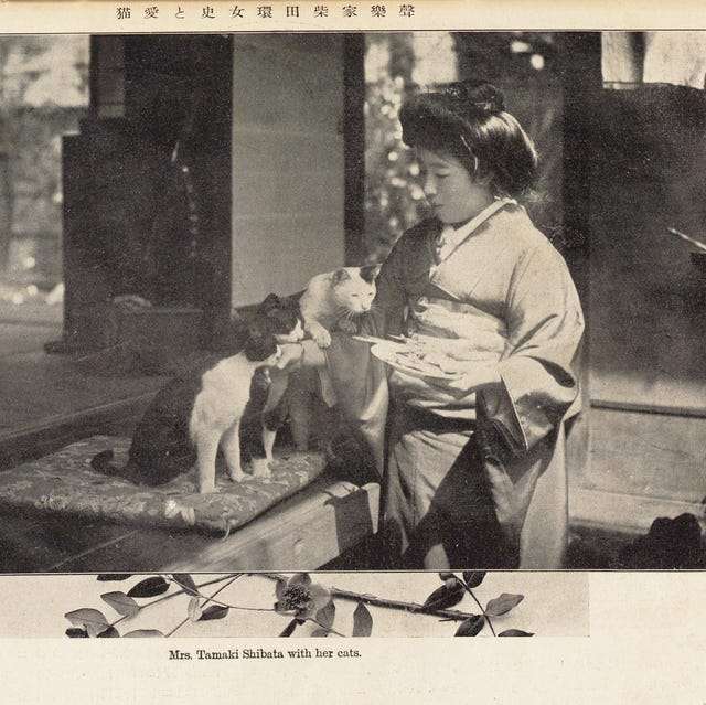 【お盆なので】昔飼っていた犬・猫の写真ありませんか?
