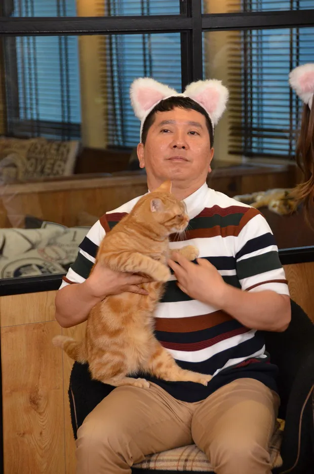 この世のなによりも猫が好きな人と話したい