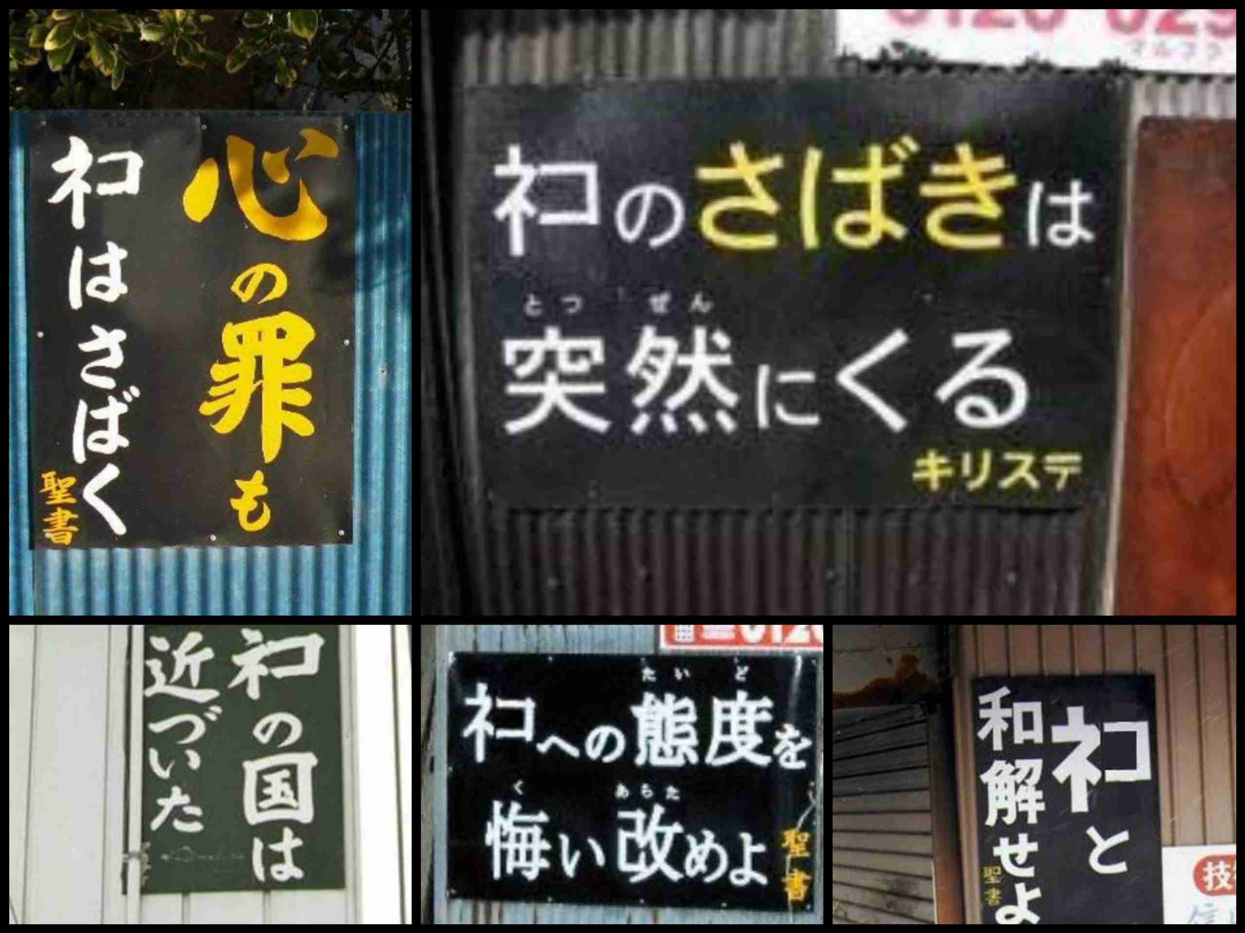 この世のなによりも猫が好きな人と話したい