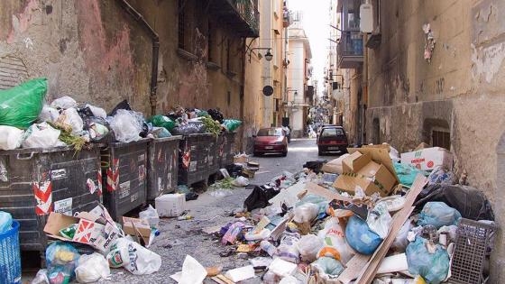 イタリア人女性が愕然「日本人は気にならないの?」 都会のど真ん中で遭遇した“巨大野生生物”に「まさか」