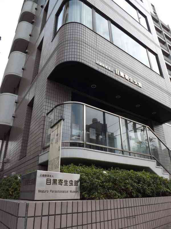 子供を文化施設に連れて行った方がいい？