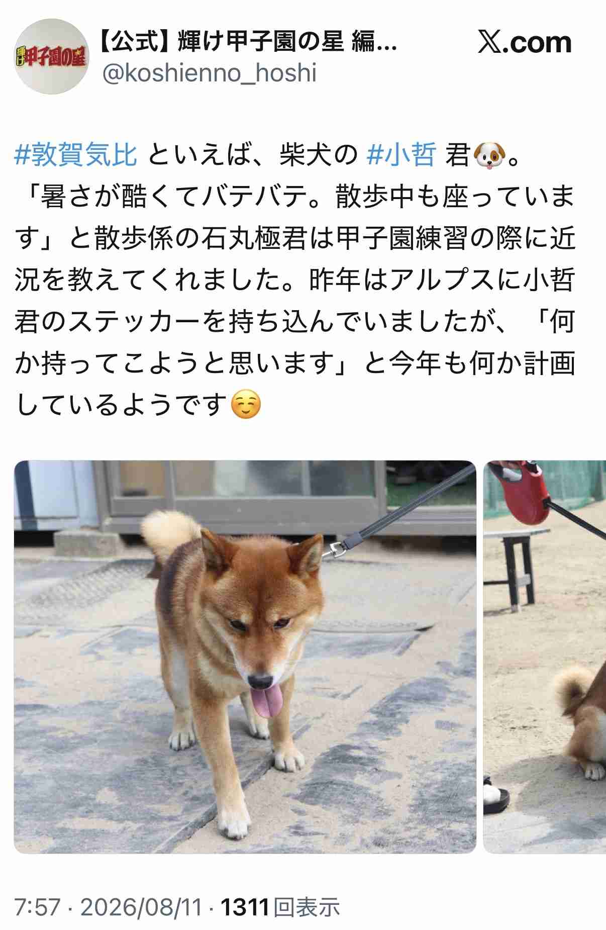 【実況・応援】第108回全国高校野球選手権大会 7日目
